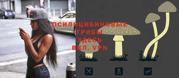 круглые Абаза